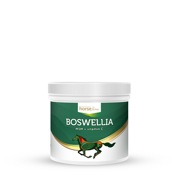 Boswellia Serrata proszek HorseLinePRO 500g 