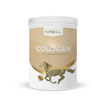 Collagen - kolagen proszek HorseLinePRO 800g