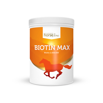 BiotinMax - biotyna w proszku HorseLinePRO 1000g