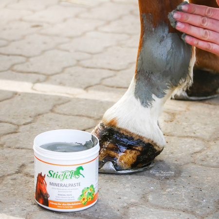 Mineralpaste Stiefel preparat z zielonej gliny na stawy, mięśnie, ścięgna i więzadła