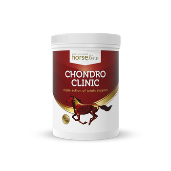 ChondroClinic proszek HorseLinePRO 690g