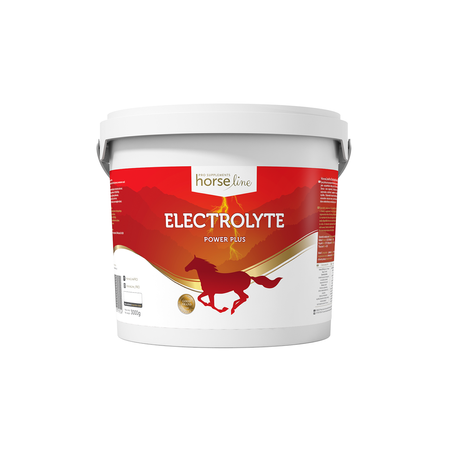 Electrolyte Power Plus - elektrolity w proszku HorseLinePRO 3000g