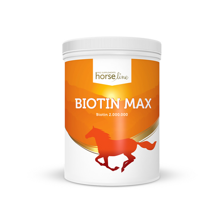 BiotinMax - biotyna w proszku HorseLinePRO 1000g