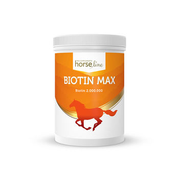 BiotinMax - biotyna w proszku HorseLinePRO 500g