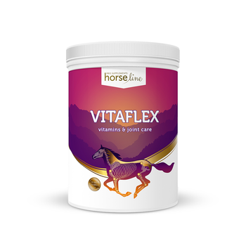 VitaFlex - ochrona aparatu ruchu proszek HorseLinePRO 2000g