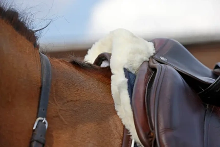 Podkładka pod siodło KENTUCKY Sheepskin Absorb / granatowa