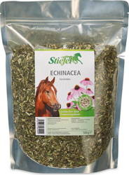 Echinacea Stiefel jeżówka