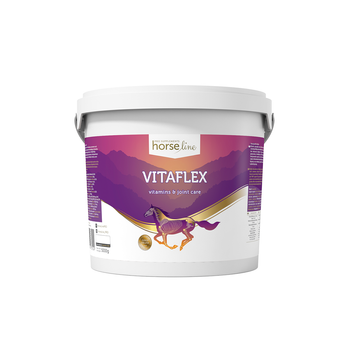 VitaFlex - ochrona aparatu ruchu proszek HorseLinePRO 5000g