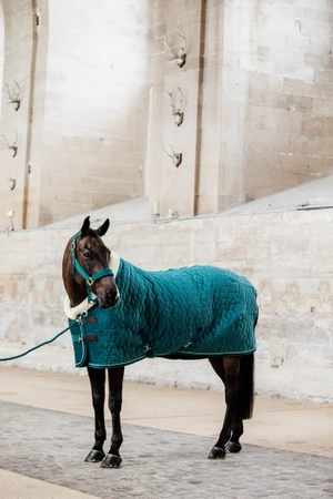 Derka stajenna KENTUCKY Velvet / emerald