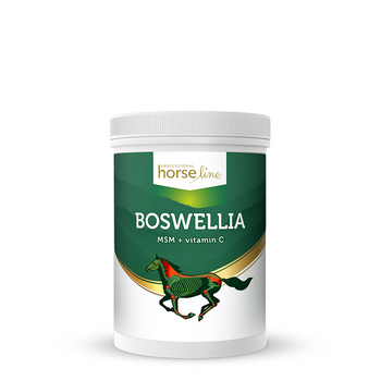 Boswellia Serrata proszek HorseLinePRO 900g