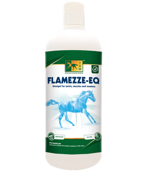 TRM FLAMEZZE-EQ 500ml