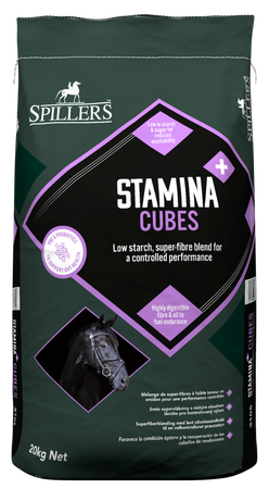 SPILLERS Stamina Cubes 20kg