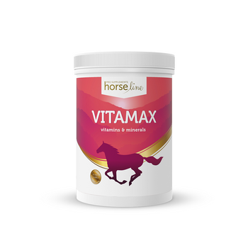 VitaMax - uzupełnienie niedoborów w proszku HorseLinePRO 2500g